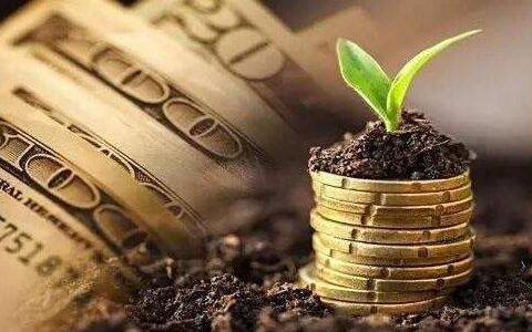 期货直播大厅喊单